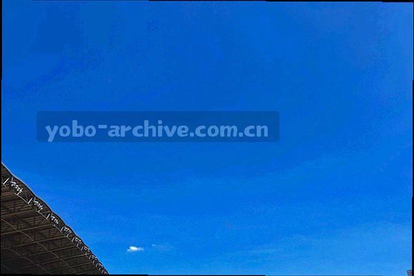 每周更新条数与批次分布柱状统计图，反映赛季期高频更新节奏